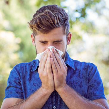 Allergy