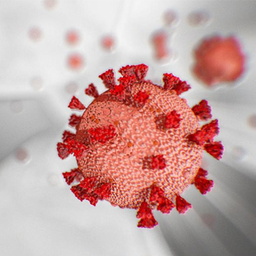 Coronavirus